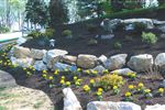 boulderimg4 -  - Boulder Walls with Planting