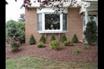 renafter1 -  - Landscape Renovation