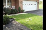 renbefore2 -  - Landscape Renovation