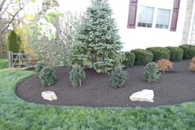 Landscape Maintenance Image 1