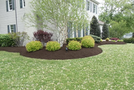 Landscape Maintenance Image 2