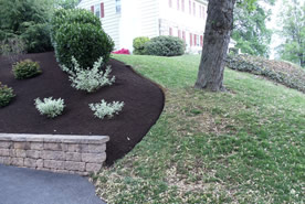 Landscape Maintenance Image 3