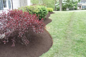 Landscape Maintenance Image 4